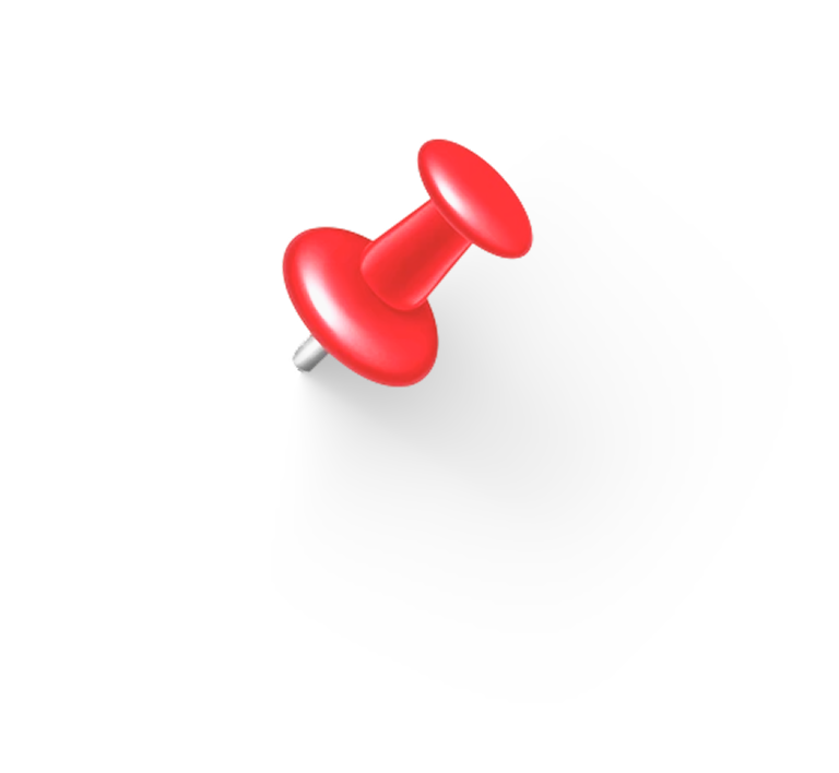 pin